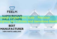 Truweigh Digital Mini Scale - Precision Weighing for Culinary and Gemstone Needs-vape