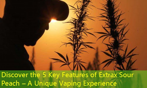 Discover the 5 Key Features of Extrax Sour Peach – A Unique Vaping Experience