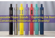 Disposable Vapor Brands: Exploring the Boom in Convenience, Innovation, and Diversity!-vape