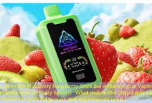 How does the Blueberry Raspberry Geek Bar enhance your vaping experience with its fruity fusion? What makes this disposable vape a top choice for both beginners and experienced users?-vape