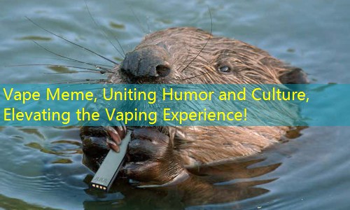 Vape Meme, Uniting Humor and Culture, Elevating the Vaping Experience!