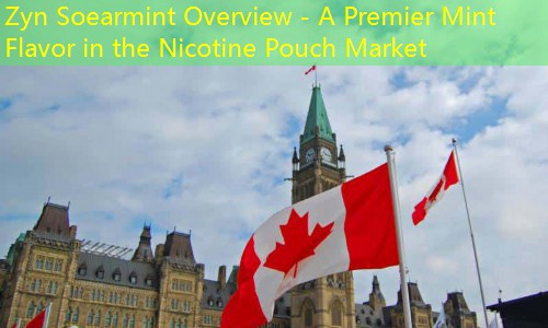 Zyn Soearmint Overview - A Premier Mint Flavor in the Nicotine Pouch Market