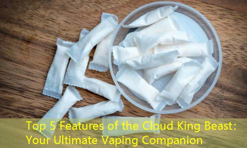 Top 5 Features of the Cloud King Beast： Your Ultimate Vaping Companion