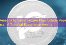5 Reasons to Savor Frozen Pina Colada Vape Bars: A Tropical Experience Awaits-vape