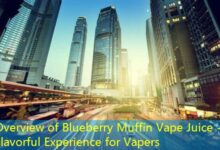 Overview of Blueberry Muffin Vape Juice - A Flavorful Experience for Vapers-vape