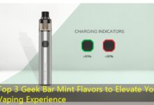 Top 3 Geek Bar Mint Flavors to Elevate Your Vaping Experience-vape