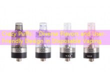Crazy Puffs: Diverse Flavors and User-Friendly Design in Disposable Vaping-vape