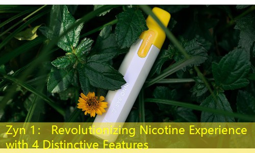 Zyn 1： Revolutionizing Nicotine Experience with 4 Distinctive Features