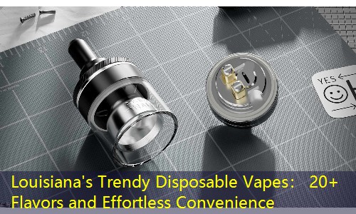 Louisiana's Trendy Disposable Vapes： 20+ Flavors and Effortless Convenience