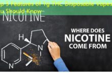 Top 5 Features of 1g THC Disposable Vapes You Should Know-vape