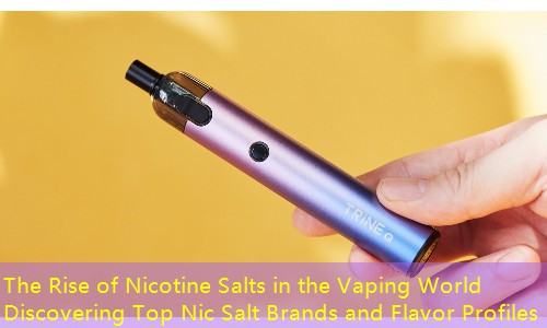 The Rise of Nicotine Salts in the Vaping World Discovering Top Nic Salt Brands and Flavor Profiles