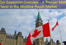 Zyn Soearmint Overview - A Premier Mint Flavor in the Nicotine Pouch Market-vape