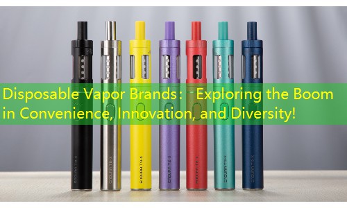 Disposable Vapor Brands： Exploring the Boom in Convenience, Innovation, and Diversity!