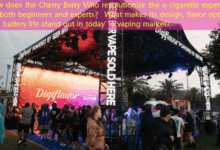 How does the Cherry Berry Viho revolutionize the e-cigarette experience for both beginners and experts？ What makes its design, flavor options, and battery life stand out in today’s vaping market？-vape