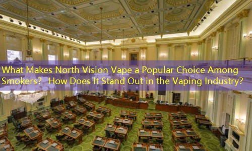 What Makes North Vision Vape a Popular Choice Among Smokers？ How Does It Stand Out in the Vaping Industry？