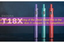 What influences the pricing of the Ghost Weed Pen in the vaping market and how does it compare to its competitors?-vape