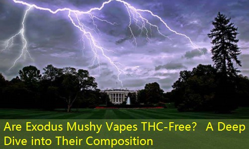 Are Exodus Mushy Vapes THC-Free？ A Deep Dive into Their Composition