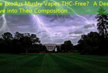 Are Exodus Mushy Vapes THC-Free？ A Deep Dive into Their Composition-vape