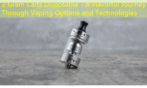 2 Gram Carts Disposable - A Flavorful Journey Through Vaping Options and Technologies