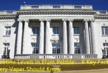 Nicotine Levels in Flum Pebble: 6 Key Facts Every Vaper Should Know-vape