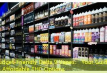 Budget-Friendly Delta 9 Vapes: Your Guide to Affordable THC Options-vape