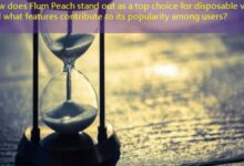 How does Flum Peach stand out as a top choice for disposable vapes and what features contribute to its popularity among users?-vape
