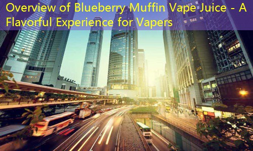 Overview of Blueberry Muffin Vape Juice - A Flavorful Experience for Vapers