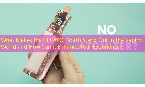What Makes the FT12000 North Stand Out in the Vaping World and How Can It Enhance Your Experience？