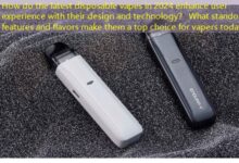 How do the latest disposable vapes in 2024 enhance user experience with their design and technology? What standout features and flavors make them a top choice for vapers today?-vape