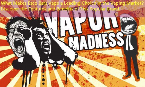 What Makes Esco Bars Vape a Leading Choice in the Vaping Market？ Discover the Features and Benefits of This Popular Brand.