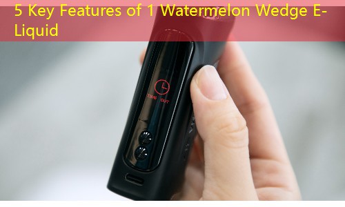5 Key Features of 1 Watermelon Wedge E-Liquid