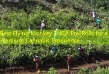 Best Flying Monkey THCA Pre-Rolls for a Premium Cannabis Experience-vape