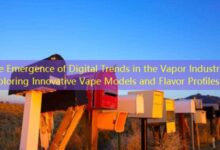 The Emergence of Digital Trends in the Vapor Industry Exploring Innovative Vape Models and Flavor Profiles-vape