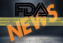 Is the fusion of Blueberry Faygo and THC the ultimate vaping experience? How does this unique blend cater to modern vapers' desires?-vape