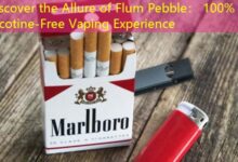 Discover the Allure of Flum Pebble: 100% Nicotine-Free Vaping Experience-vape