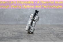2 Gram Carts Disposable - A Flavorful Journey Through Vaping Options and Technologies-vape
