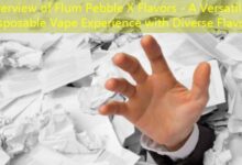 Overview of Flum Pebble X Flavors - A Versatile Disposable Vape Experience with Diverse Flavors-vape