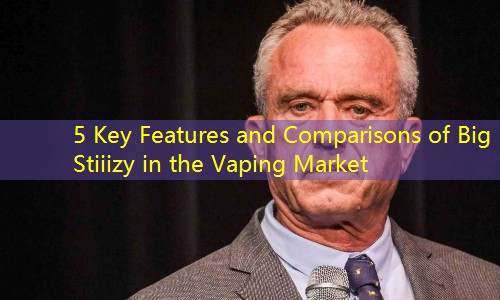 5 Key Features and Comparisons of Big Stiiizy in the Vaping Market