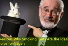 5 Reasons Why Smoking Carts Are the Ideal Choice for Vapers-vape