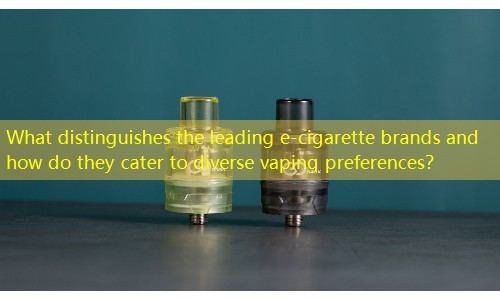 What distinguishes the leading e-cigarette brands and how do they cater to diverse vaping preferences？