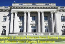 Discover 5 Unique Flavors from Boring Tiger That Elevate Your Vaping Experience-vape