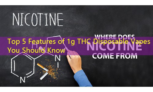 Top 5 Features of 1g THC Disposable Vapes You Should Know
