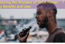 Exploring the Wonders of THCA Flower： 7 Key Benefits and Uses-vape