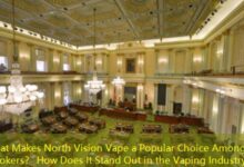 What Makes North Vision Vape a Popular Choice Among Smokers？ How Does It Stand Out in the Vaping Industry？-vape