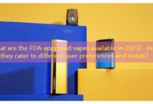 What are the FDA-approved vapes available in 2023? How do they cater to different user preferences and needs?-vape