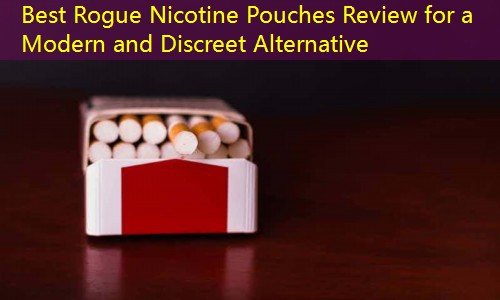 Best Rogue Nicotine Pouches Review for a Modern and Discreet Alternative