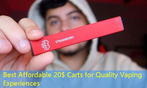 Best Affordable 20$ Carts for Quality Vaping Experiences
