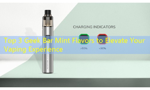 Top 3 Geek Bar Mint Flavors to Elevate Your Vaping Experience