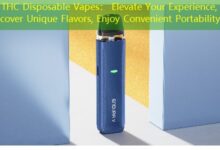 7g THC Disposable Vapes: Elevate Your Experience, Discover Unique Flavors, Enjoy Convenient Portability!-vape