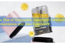 The Rise of Disposable Vaporizers Celebrating Convenience and User Experience-vape